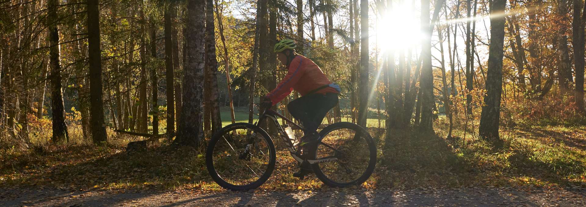 Cyclists in Vilsta. Autumn colored forrest and sunshine