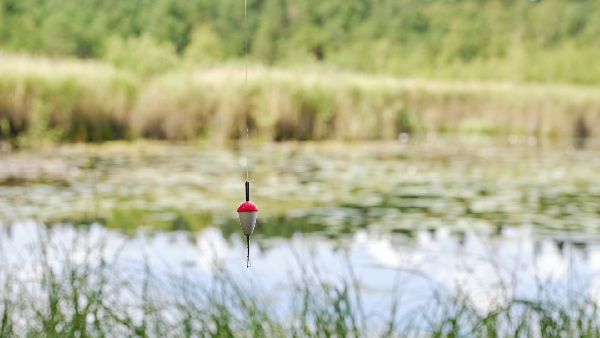 A bobber on a fishing rod.