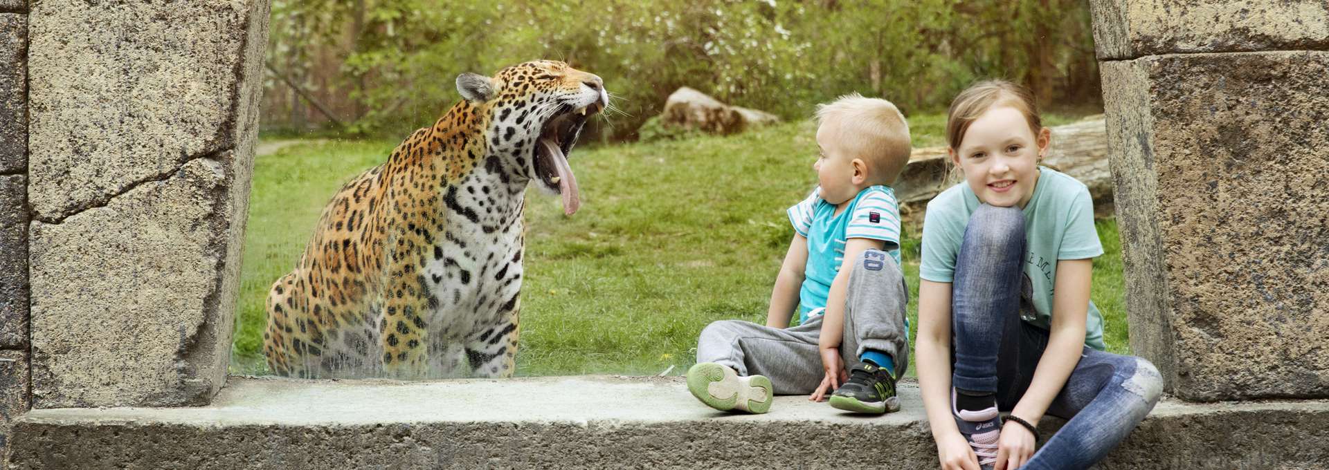 A roaring lepard, and two kids