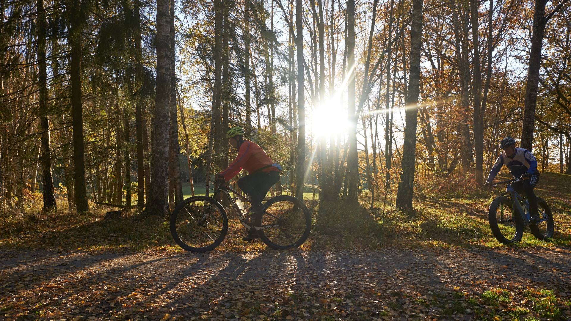 Cyklister i Vilsta. Höstfärgad skog och solsken.
