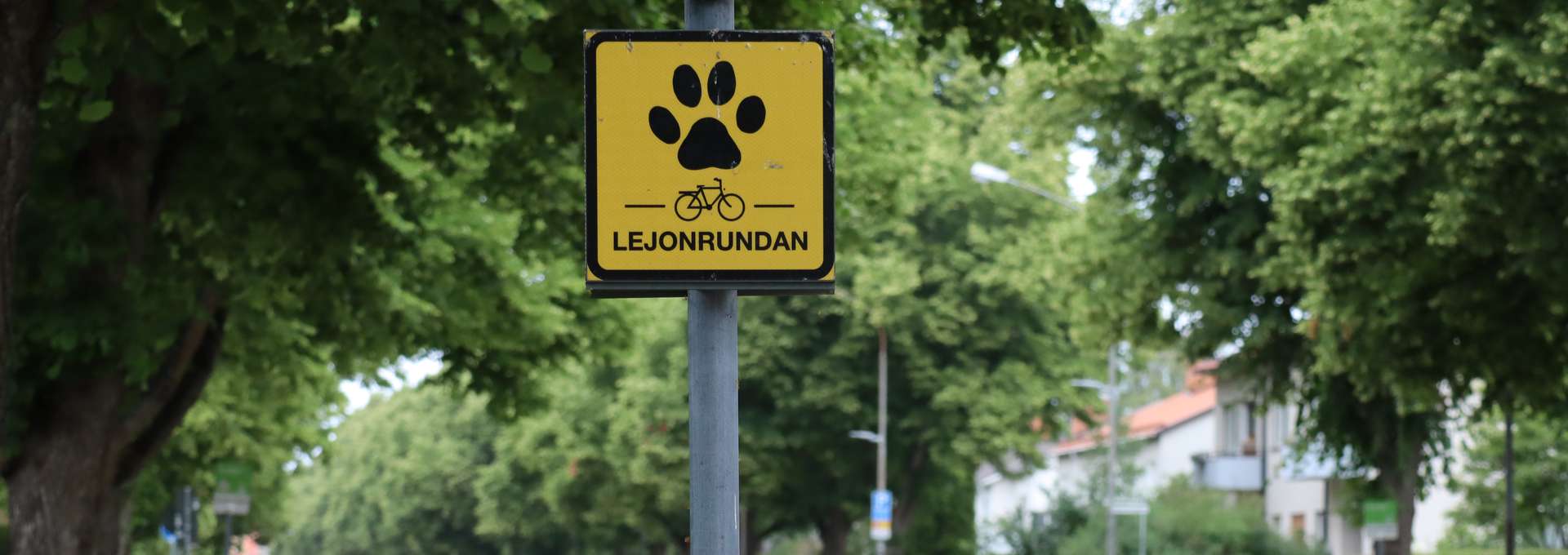 A yellow squared street sign saying Lejonrundan. In the background you can see three cyclists
