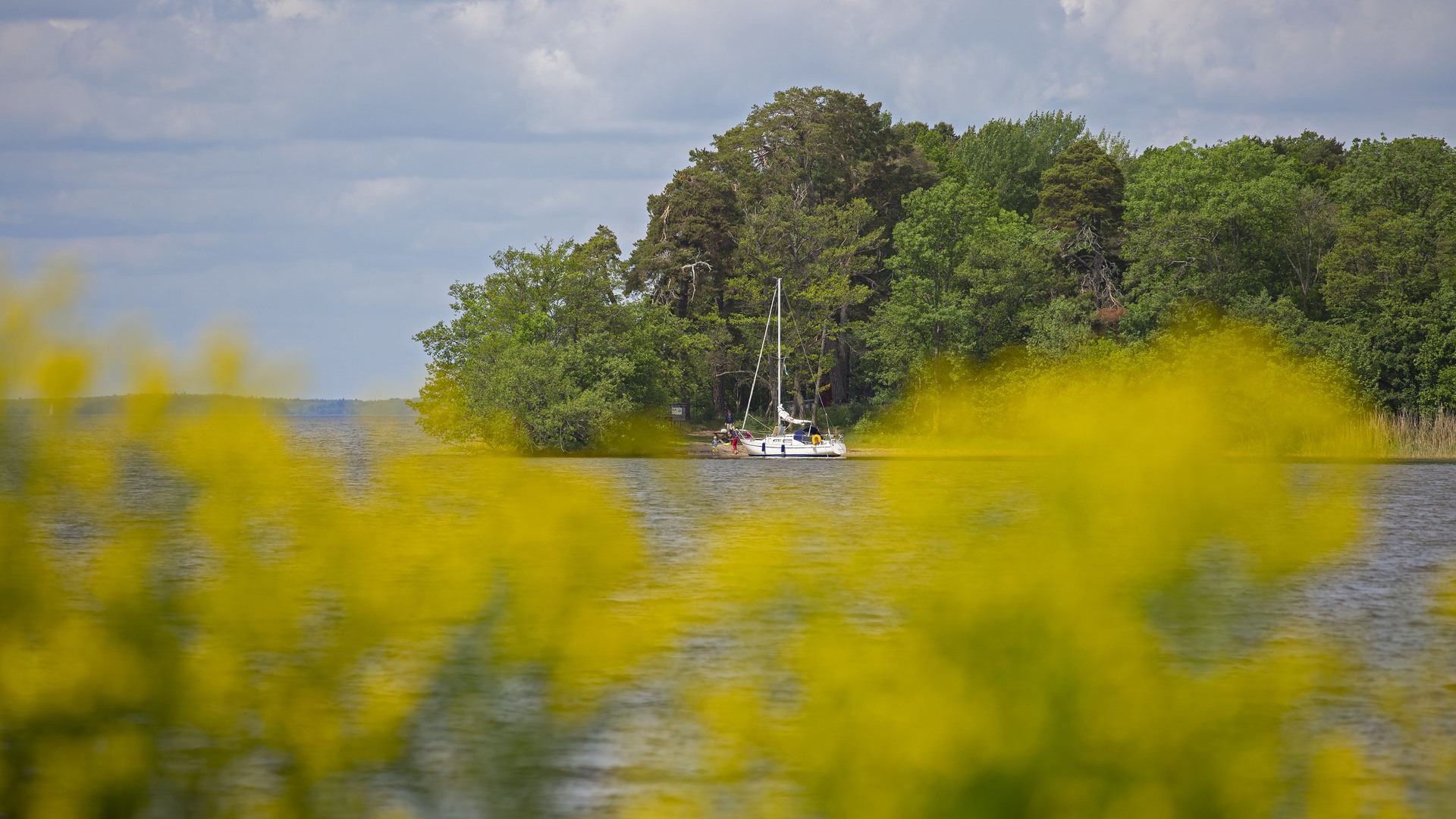 A sailboat at lake Mälaren